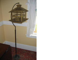 Bird cage stand and cage